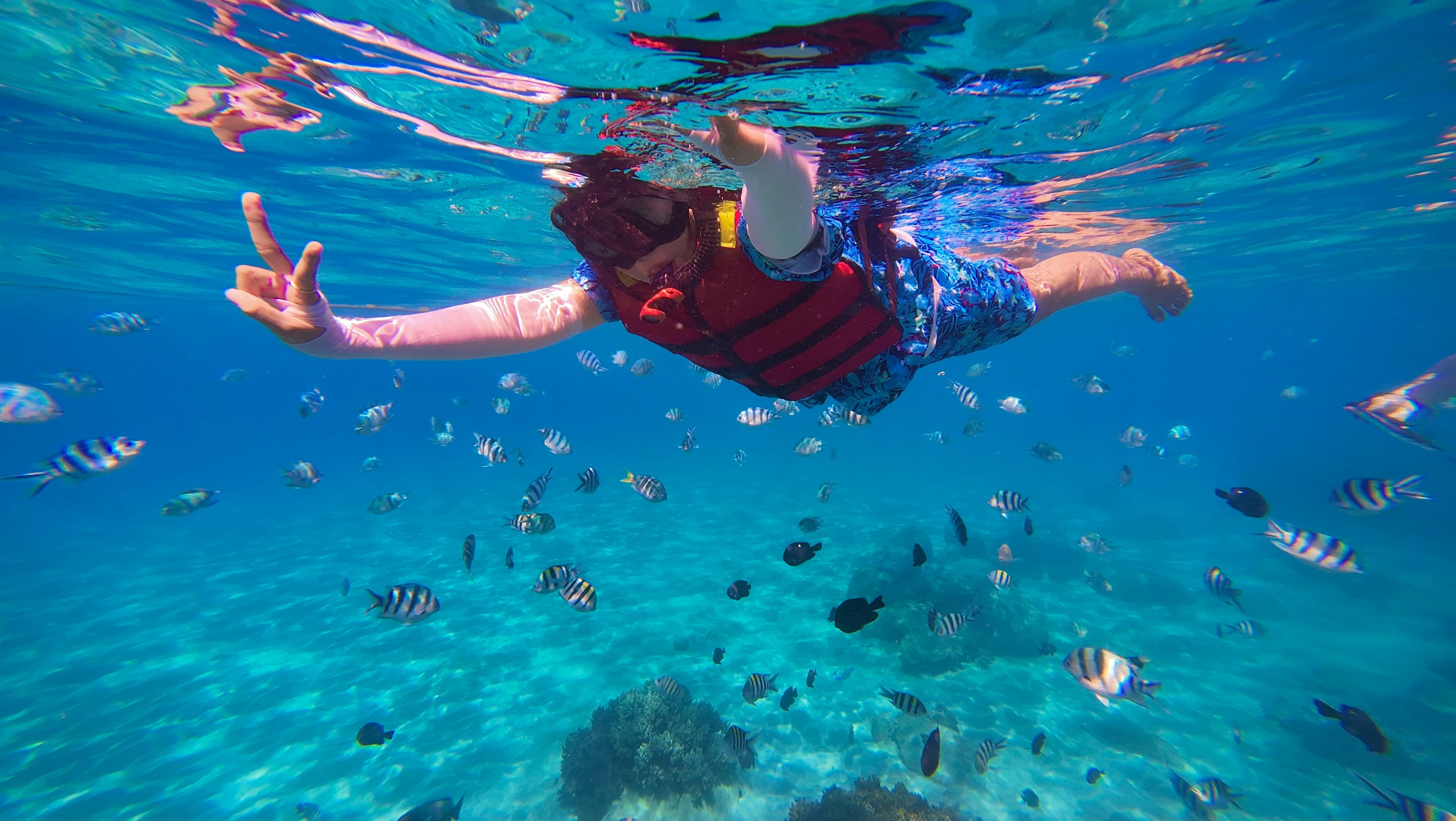 Marine Adventures
